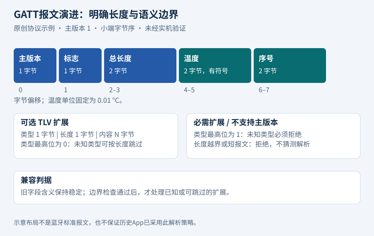 八字节示例头部与有边界的可选TLV字段;未知可选字段按长度跳过。