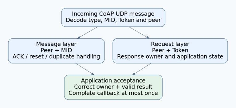 Two parallel CoAP UDP identity domains use peer plus Message ID for message handling and peer plus Token for request-response ownership.