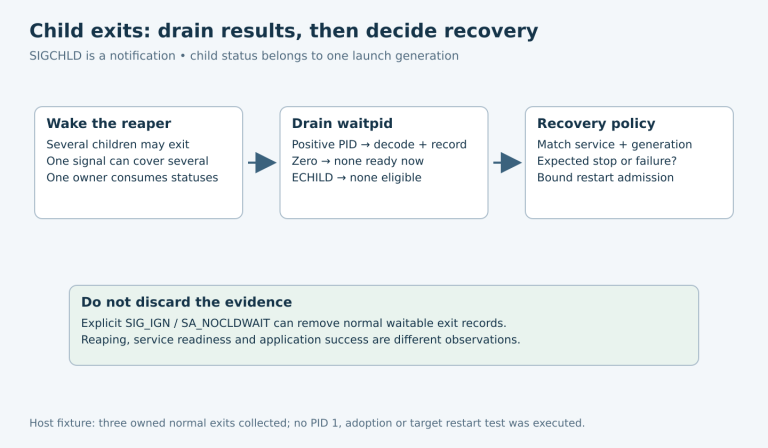 A coalesced child-exit notification wakes one reaper, which drains and classifies waitpid results before matching service generations and applying recovery policy.